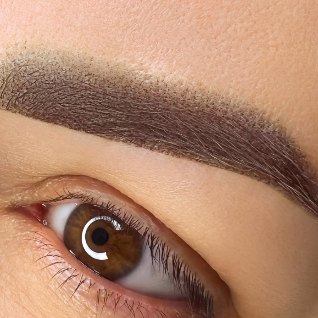 Microblading vs Microshading : Quelle Technique Choisir pour Vos Sourcils ?