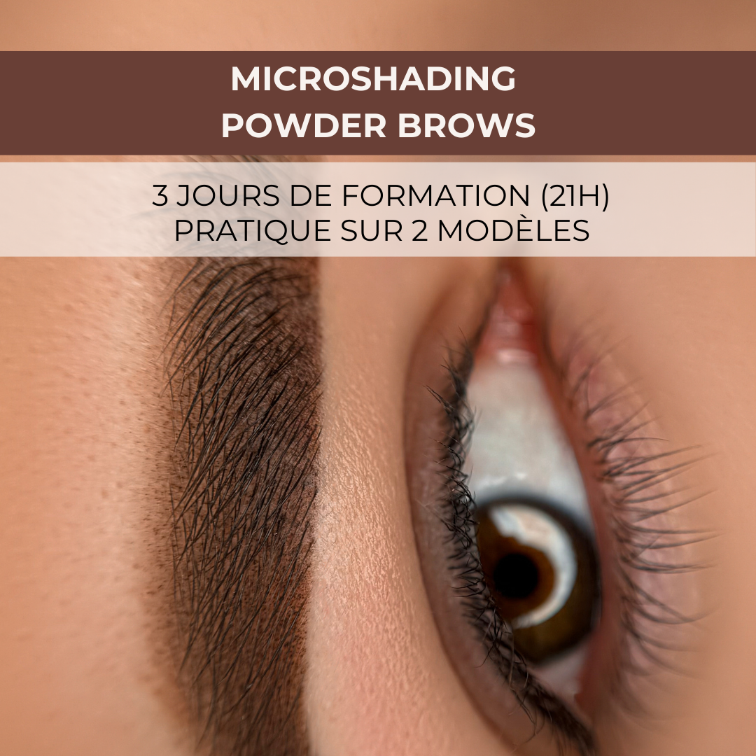 FORMATION MICROSHADING - 3 JOURS