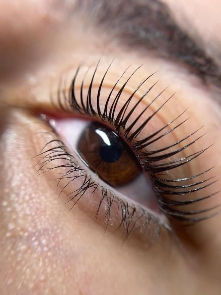 Kit Lash Lift Coréen pro : guide pour démarrer