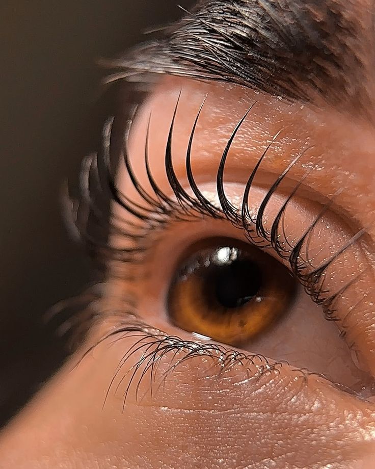 Lash Lift Coréen vs Lash Lift Classique : quelle différence pour vos clientes ?