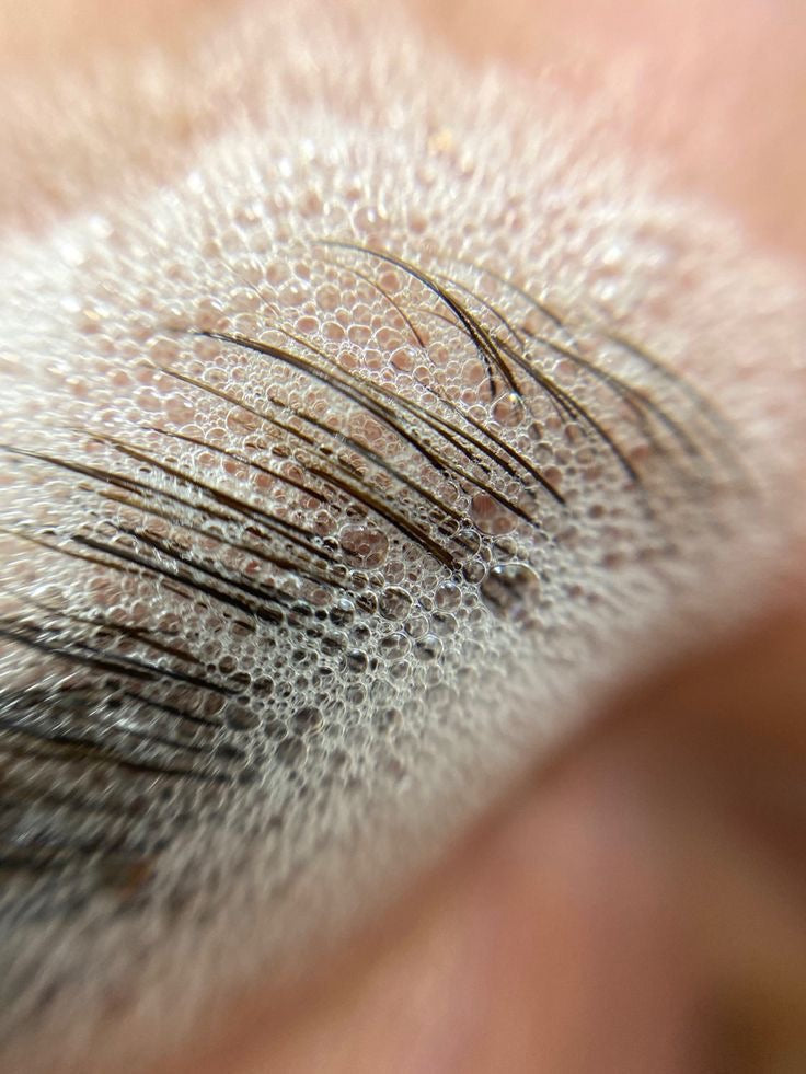 Brow Lift Sans Thioglycolate : L'Avenir des Produits Professionnels et Sensibles