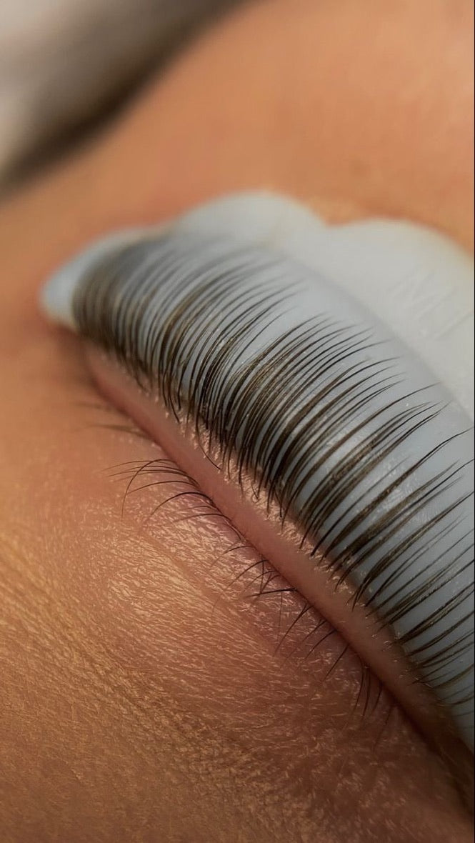 Pads sans colle lash lift coréen : comparatif