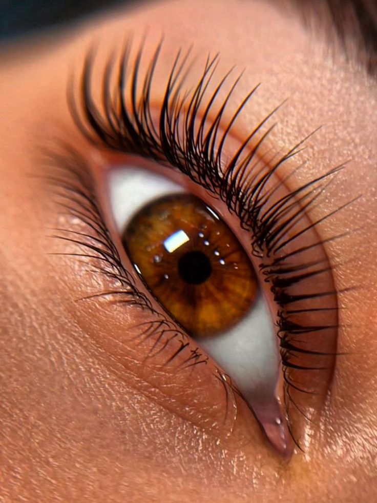 Lash lift coréen effet projeté : la technique avancée pour un regard sur-mesure