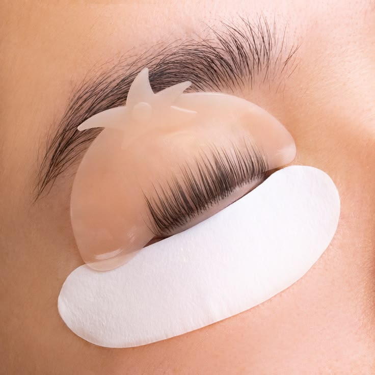 Prix lash lift coréen en 2026 : combien ça coûte et comment fixer vos tarifs