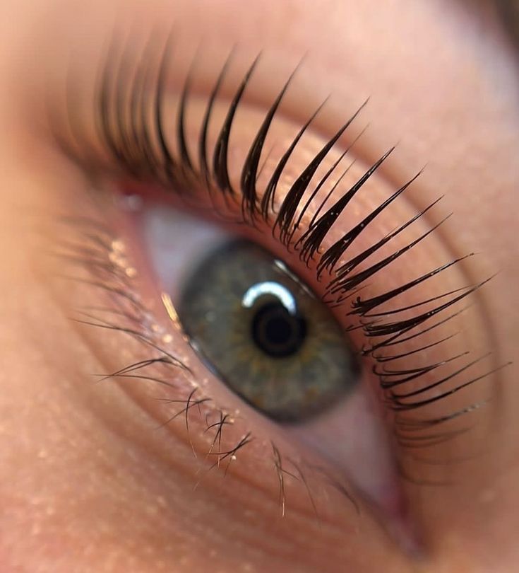 Formation lash lift coréen en ligne : est-ce suffisant pour se lancer en 2026 ?