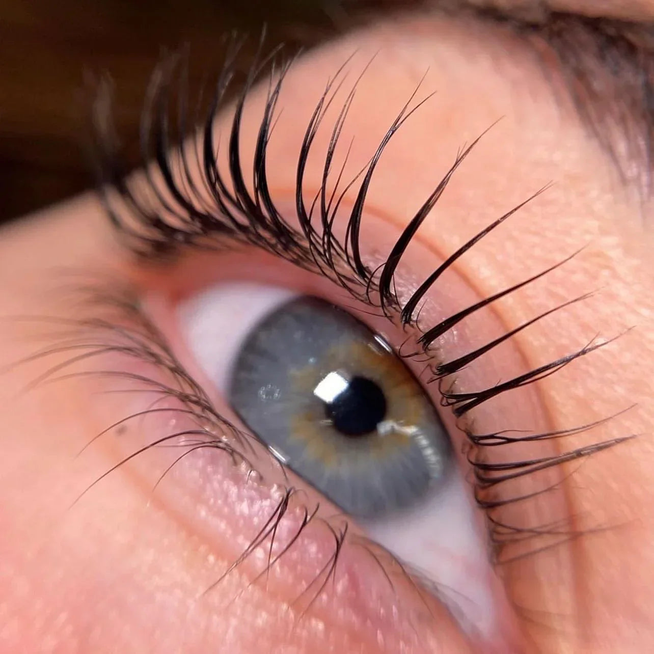 Lash Lift Coréen vs Classique : Le Guide Complet pour Enfin Comprendre la Différence (et Choisir le Vôtre)